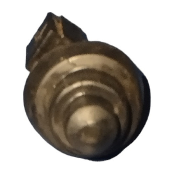 Interruptor Sensor Luz Porta Renault Sandero Scenic Megane