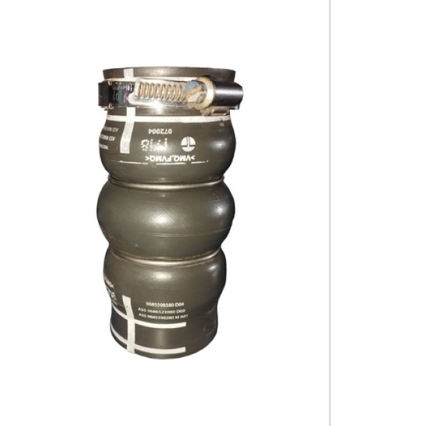 Mangueira Intercooler Peugeot Expert 1.6 Thp