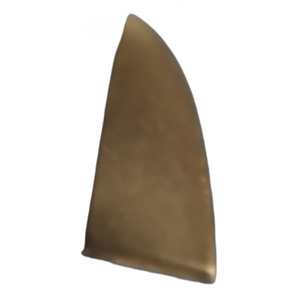 Acabamento Interno Retrovisor Lado Direito 307 