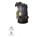 Compressor Ar Condicionado Citroen Peugeot 307  C4 Pallas
