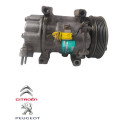 Compressor Ar Condicionado Peugeot 206 1.6 2001 9655191580