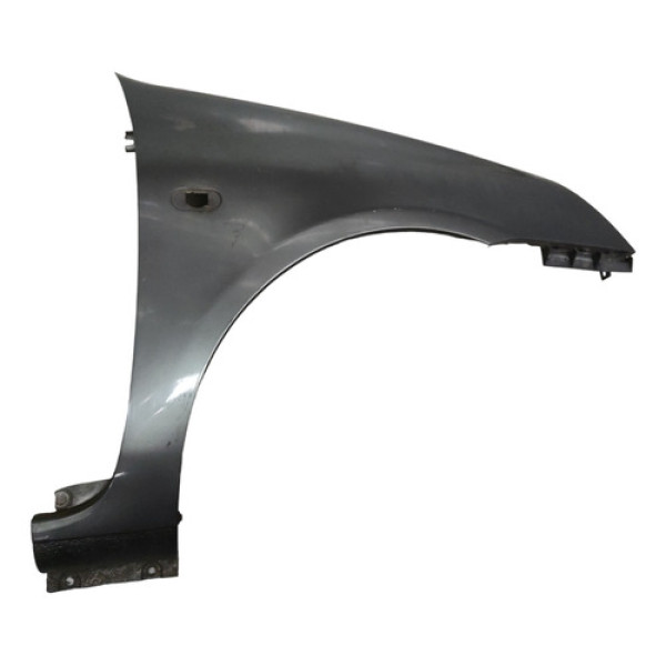 Paralama Direito Renault Clio 2002 A 2006 Cinza