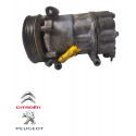 Compressor Ar Condicionado Peugeot 206 1.6 2002 9655191580