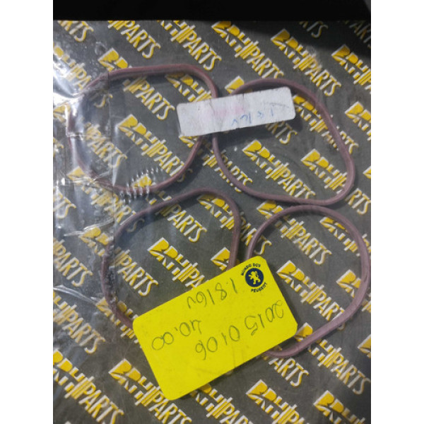 Junta Do Coletor De Admissao Peugeot Citroen 1.9 16 V