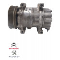 Compressor Ar Condicionado Peugeot 206 1.6 2001 9655191580