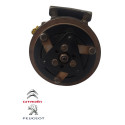 Compressor Ar Condicionado Peugeot 206 1.6 2001 9655191580