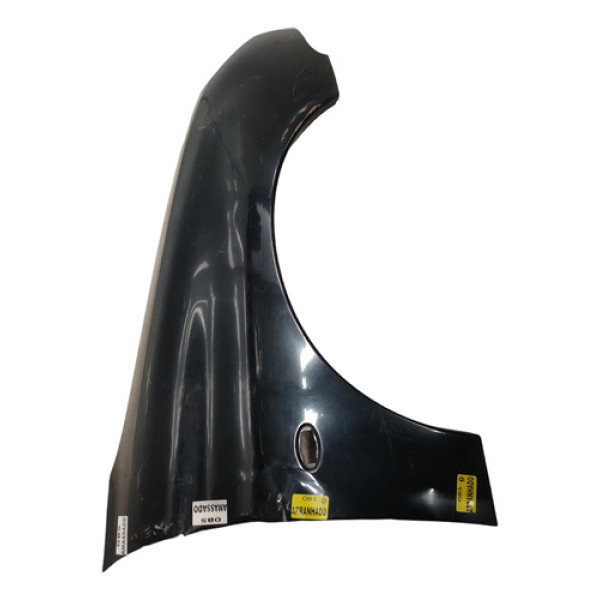 Paralama Direito Peugeot 206 1999 A 2010 Usado 