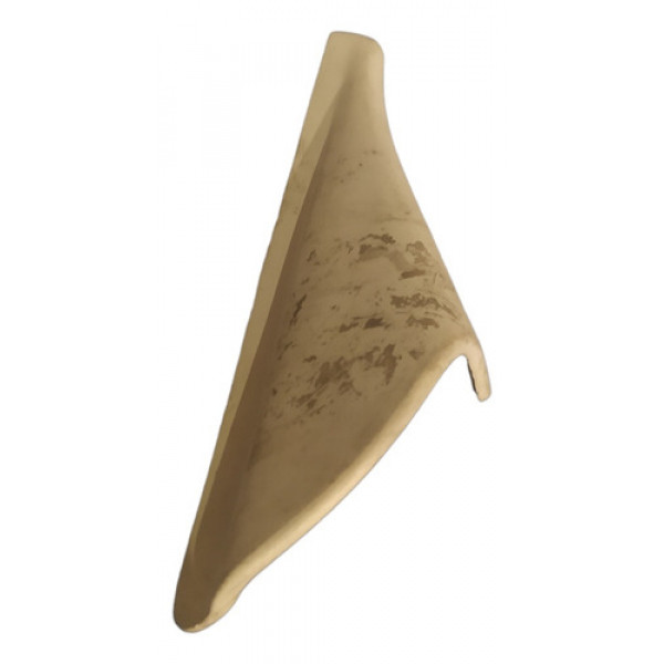 Acabamento Interno Retrovisor Direito Xsara Picasso