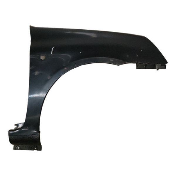 Paralama Direito Renault Clio 2002 A 2006 Cinza