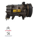 Compressor Ar Condicionado Peugeot 206 1.6 2002 9655191580