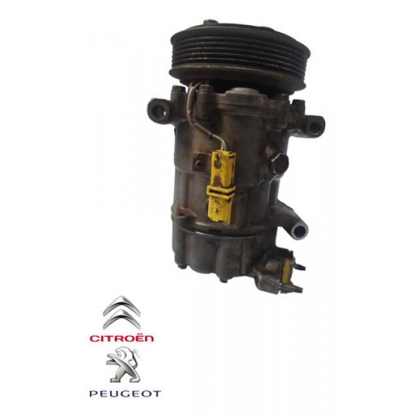 Compressor Ar Condicionado Peugeot 206 1.6 2004 9655191580