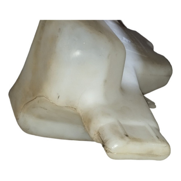 Reservatorio Agua Parabrisa Renault Scenic 1999 A 2006 