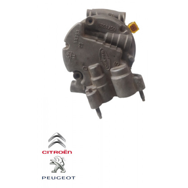 Compressor Ar Condicionado Peugeot 207 1.6 Flex 2009