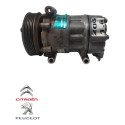 Compressor Ar Condicionado Peugeot 206 1.6 2005 9655191580