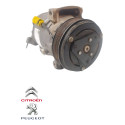 Compressor Ar Condicionado Peugeot 207 1.6 Flex 2009