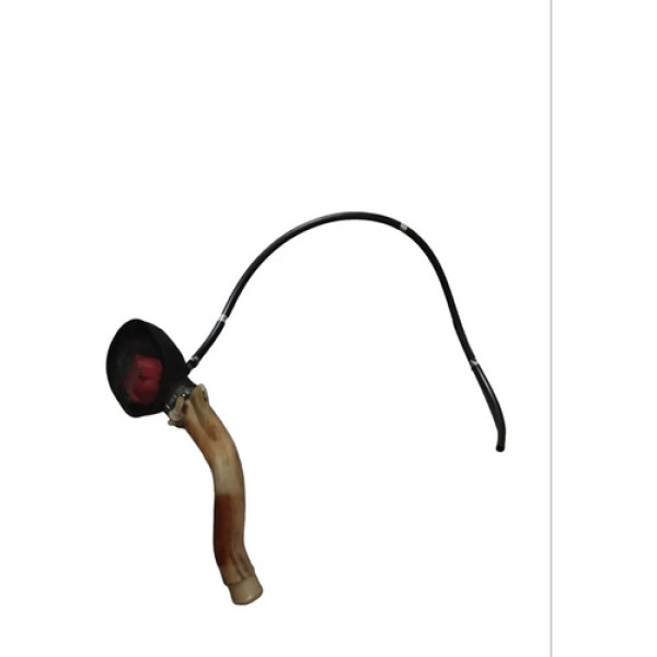 Gargalo Reservatório Partida Fria Renault Clio