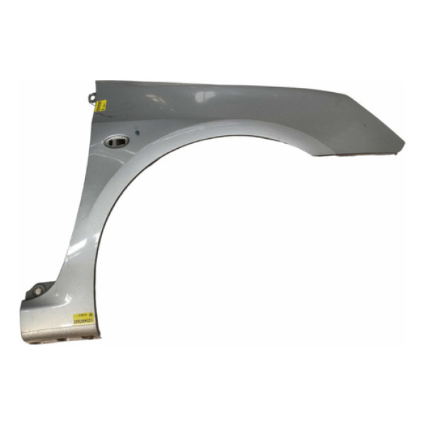 Paralama Direito Peugeot 307 2003 A 2006 Prata Usado