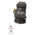 Compressor Ar Condicionado Peugeot 206 1.6 2001 9655191580