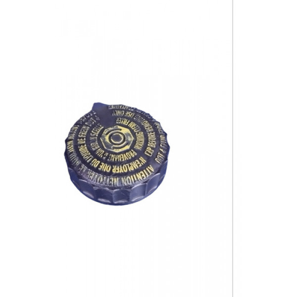 Tampa Do Reservatório Fluido De Freio Xsara Picasso 