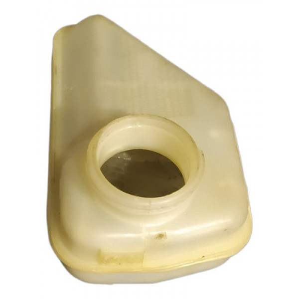 Reservatório Óleo Freio Fiat Palio