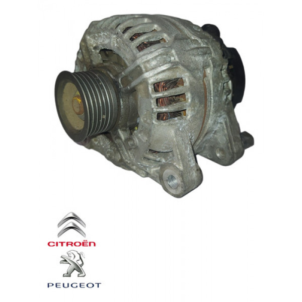 Alternador C3 C4 C8 Peugeot 307 407 2.0 Cl15 9649846780