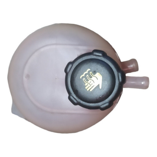 Reservatório Radiador Renault Sandero Logan Megane 2013 