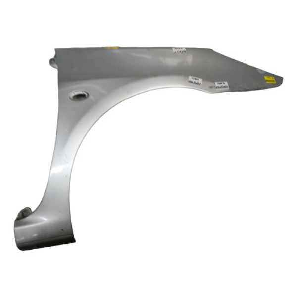 Paralama Direito Peugeot 307 2007 A 2012 Prata 