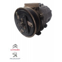 Compressor Ar Condicionado Citroen Peugeot 307  C4 Pallas