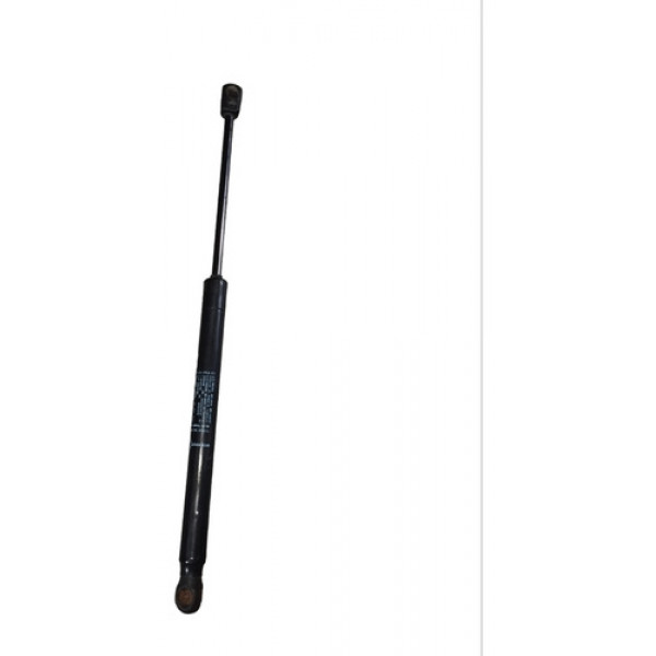 Amortecedor Tampa Traseira Renault Duster 904528324r