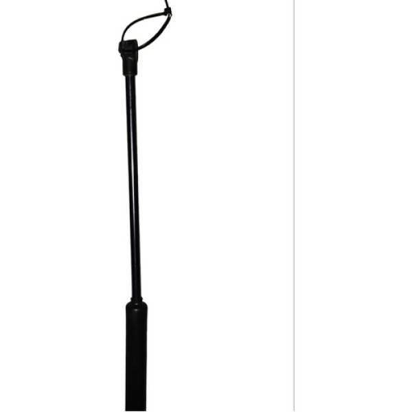 Amortecedor Tampa Traseira Renault Sandero 2014 A 2018 