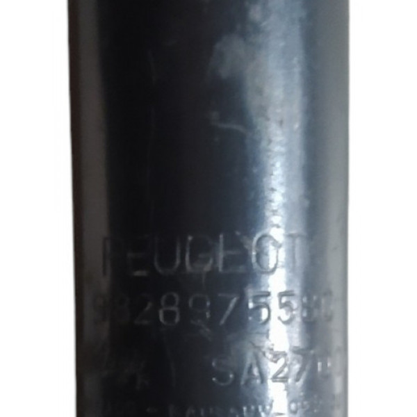 Amortecedor Traseira Peugeot 2008 1.6 2019 9828975580