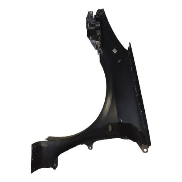 Paralama Direito Peugeot 307 2012 