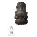 Compressor Ar Condicionado Peugeot 206 1.6 2002 9655191580