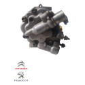 Compressor Ar Condicionado Citroen Peugeot 307  C4 Pallas