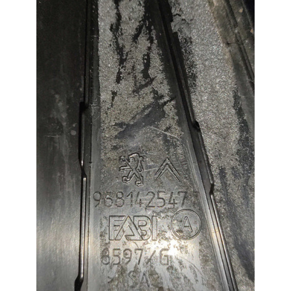 Acabamento Externo Retrovisor Esq. Citroen C3 Picasso 2011