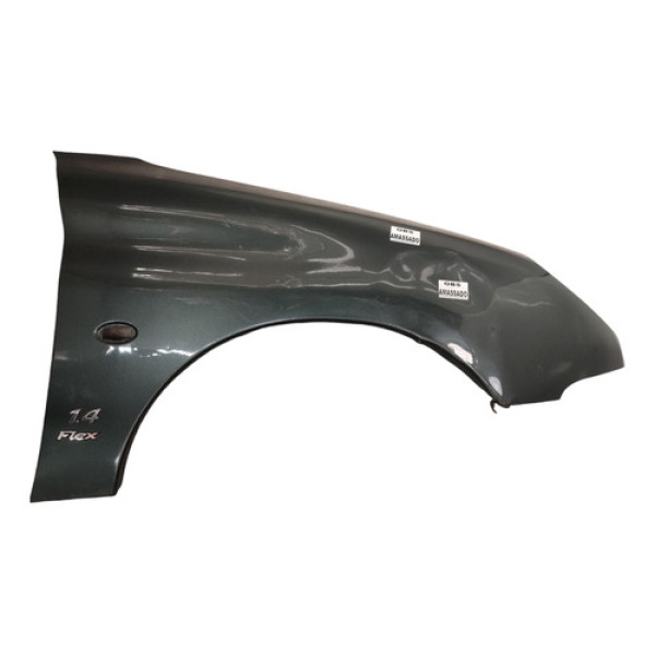 Paralama Direito Peugeot 206 1999 A 2010 Cinza 