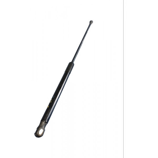 Amortecedor Tampa Traseira Citroën C4 Hatch 2009 2010