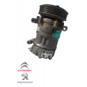 Compressor Ar Condicionado Peugeot 206 1.6  9655191580